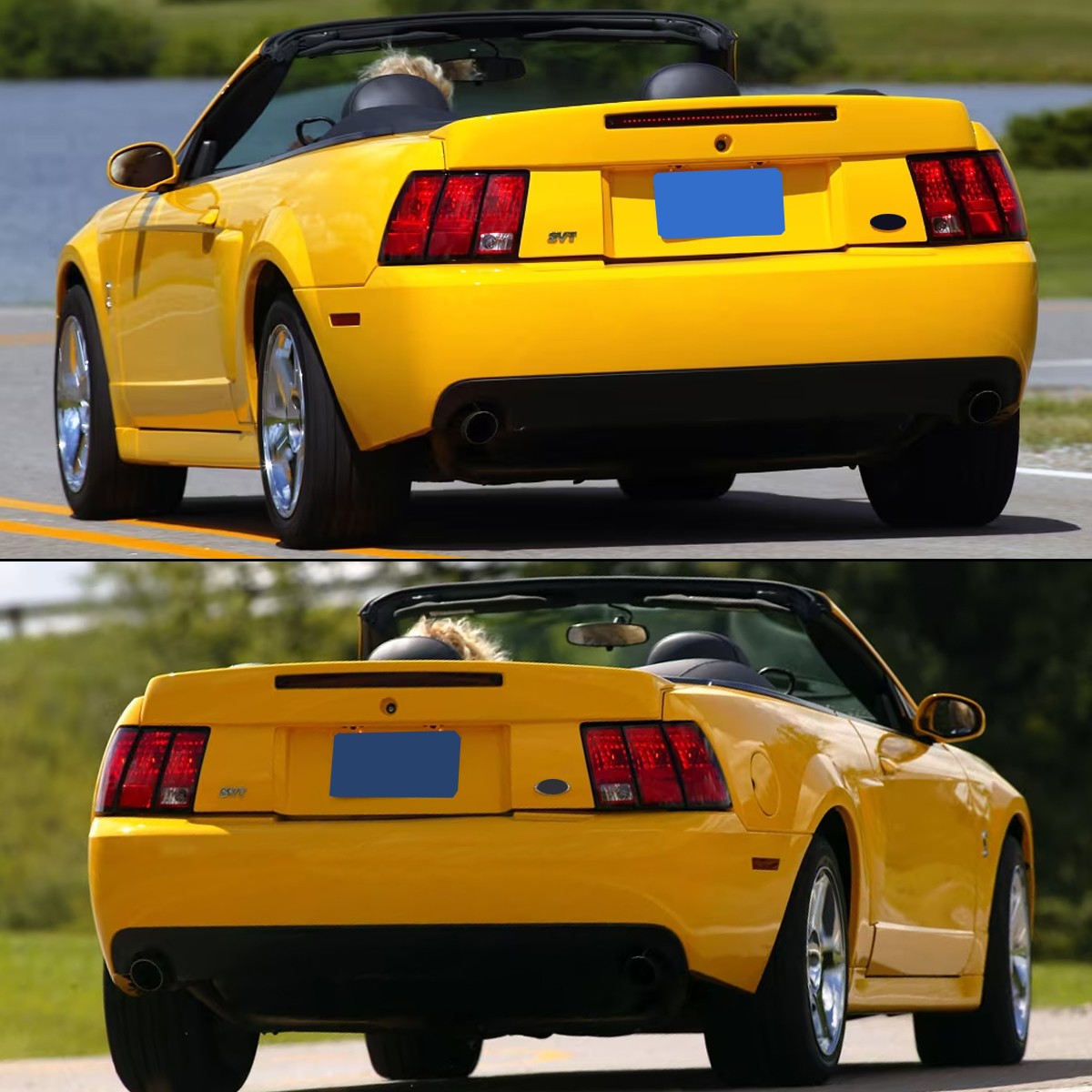 Für Ford Mustang Cobra SVT Cob – Model Kit Mustang Bewertung und Preis